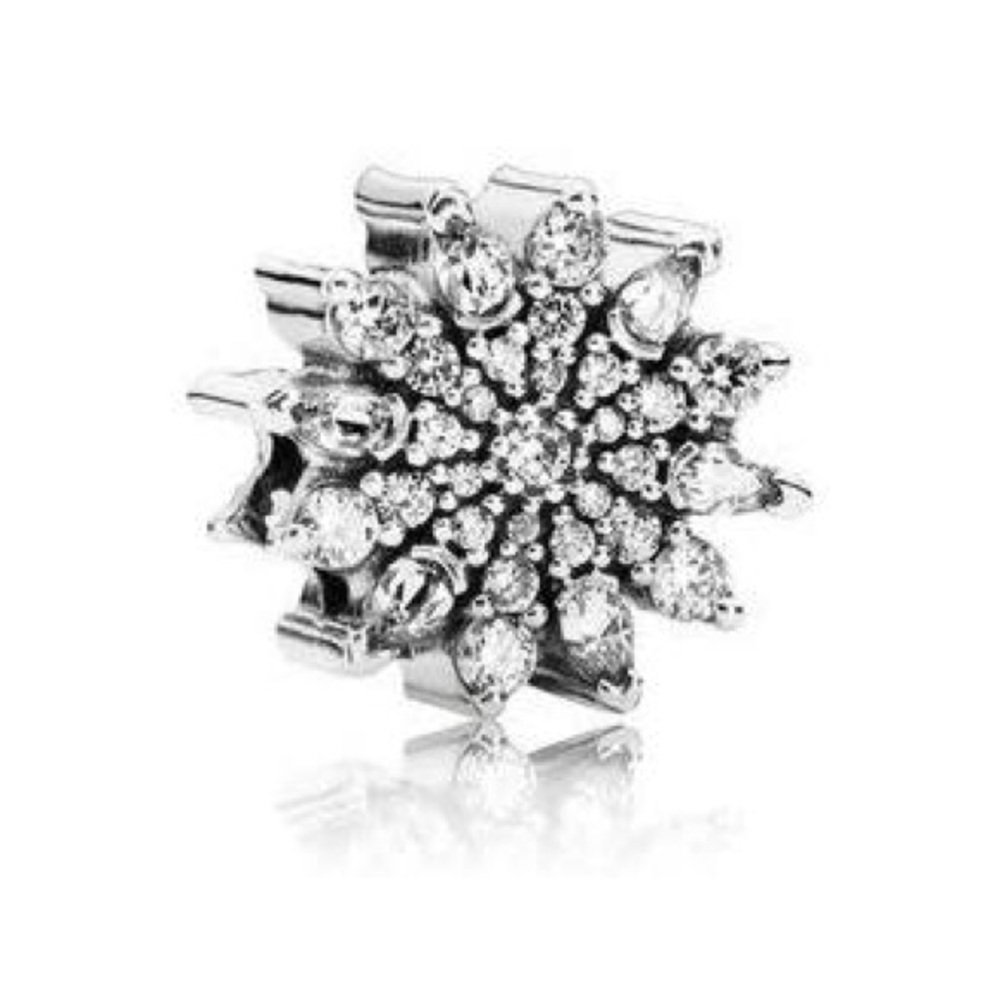 Pandora charm